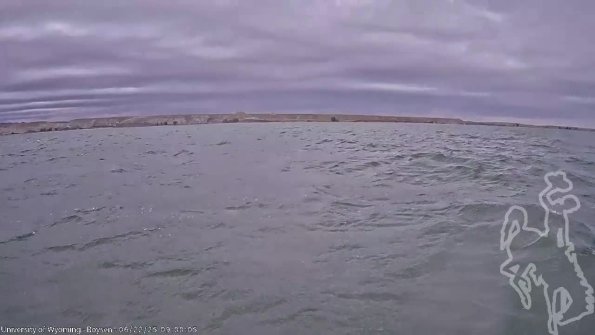 BoysenJun222025_11hh08mm01ss