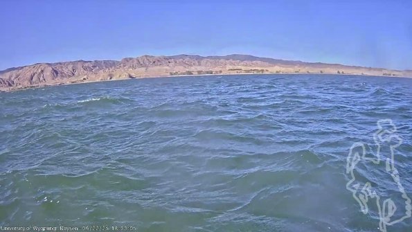 BoysenJun222025_20hh08mm01ss