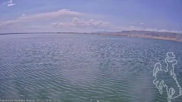 BoysenJun252025_17hh08mm01ss