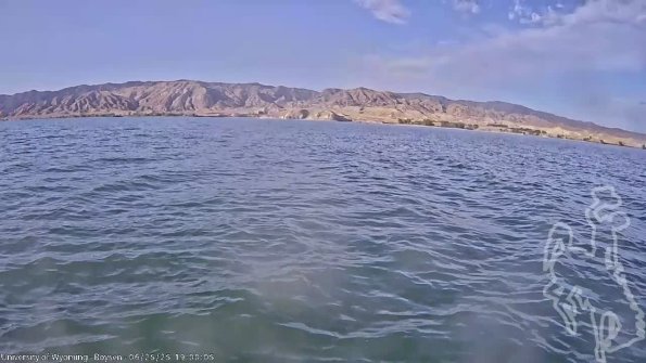 BoysenJun252025_21hh08mm01ss