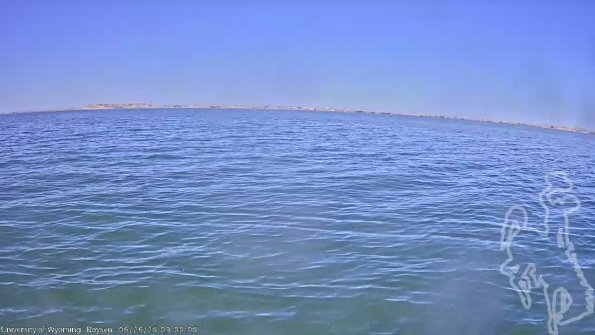 BoysenJun262025_11hh08mm01ss