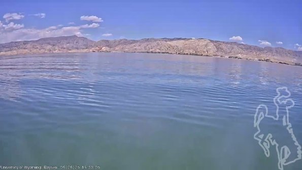 BoysenJun262025_15hh08mm01ss