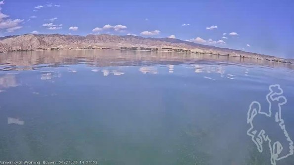 BoysenJun262025_16hh08mm01ss