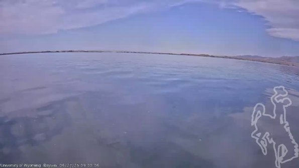 BoysenJun272025_11hh08mm01ss