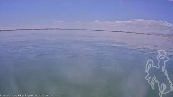 BoysenJun272025_15hh08mm02ss