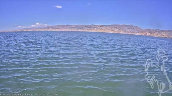 BoysenJun292025_14hh08mm01ss