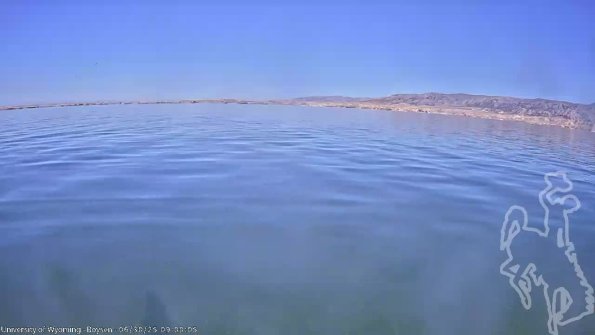 BoysenJun302025_11hh08mm01ss