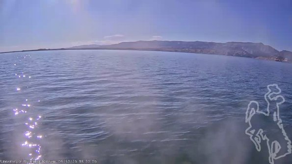 BoysenJun302025_20hh08mm01ss