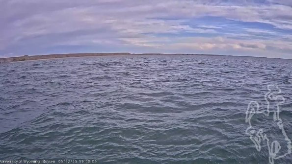 BoysenMay222025_21hh08mm01ss