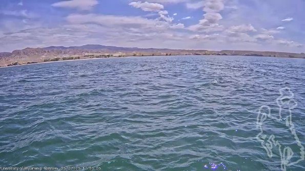 BoysenMay272025_14hh08mm01ss