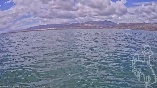 BoysenMay282025_16hh08mm01ss