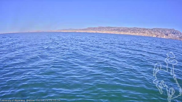 BoysenMay312025_11hh08mm01ss