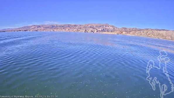 BoysenNov012025_17hh08mm01ss