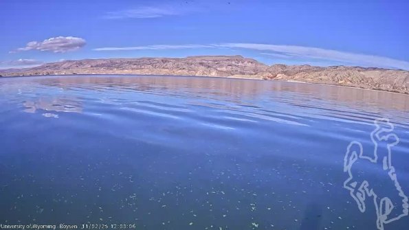 BoysenNov022025_14hh08mm01ss