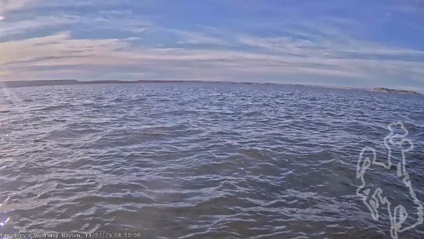 BoysenNov072025_10hh08mm01ss