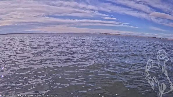 BoysenNov072025_12hh08mm01ss