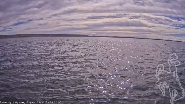 BoysenNov072025_13hh08mm02ss