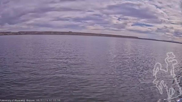 BoysenNov072025_14hh08mm01ss