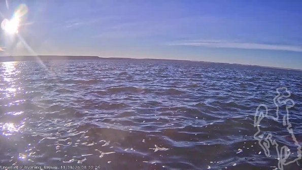 BoysenNov082025_10hh08mm01ss