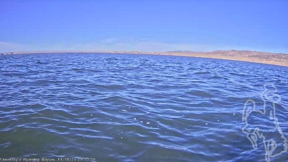 BoysenNov082025_11hh08mm01ss