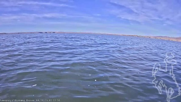 BoysenNov082025_12hh08mm01ss