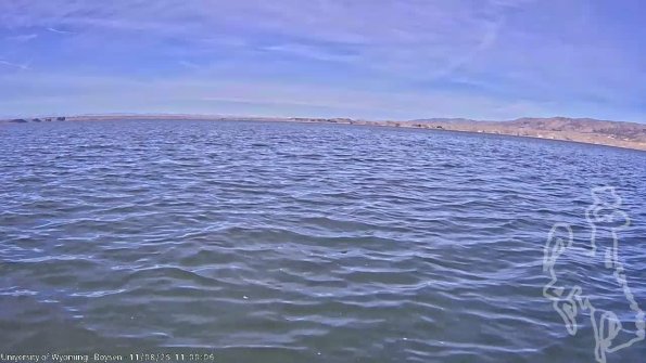 BoysenNov082025_13hh08mm01ss