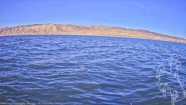 BoysenNov082025_17hh08mm01ss