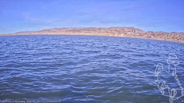 BoysenNov092025_11hh08mm01ss