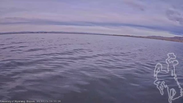 BoysenNov102025_11hh08mm01ss