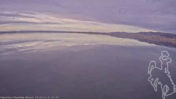 BoysenNov102025_14hh08mm01ss