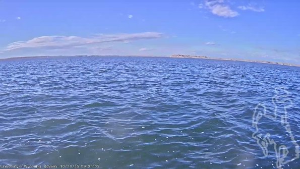 BoysenOct012025_11hh08mm01ss