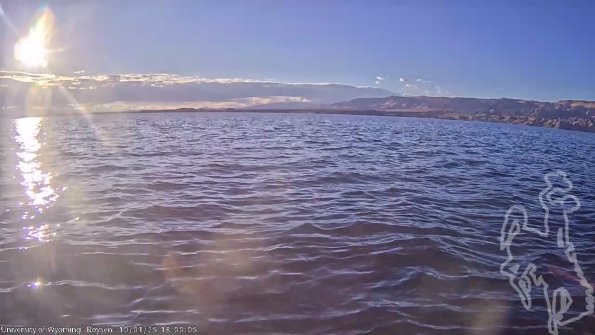 BoysenOct012025_20hh08mm01ss