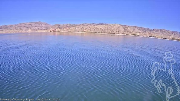 BoysenOct022025_14hh08mm01ss