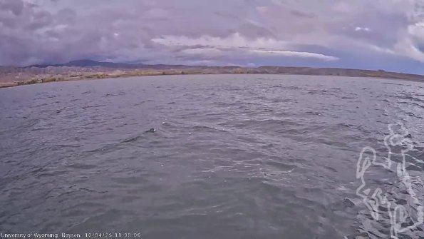 BoysenOct042025_13hh08mm01ss