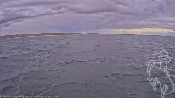 BoysenOct042025_17hh08mm01ss