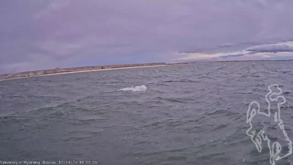 BoysenOct042025_18hh08mm00ss