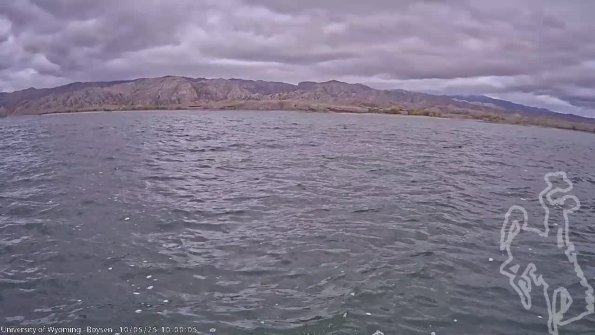 BoysenOct052025_12hh08mm01ss