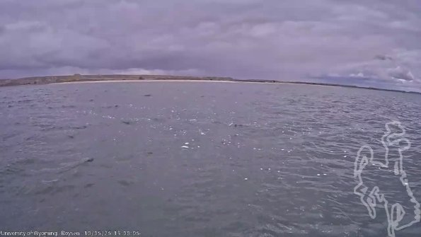 BoysenOct052025_15hh08mm01ss