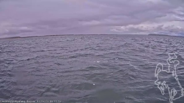 BoysenOct052025_16hh08mm01ss