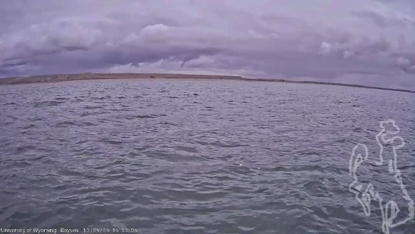 BoysenOct052025_17hh08mm01ss