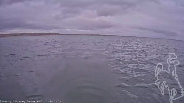 BoysenOct052025_18hh08mm01ss