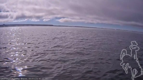 BoysenOct072025_12hh08mm01ss