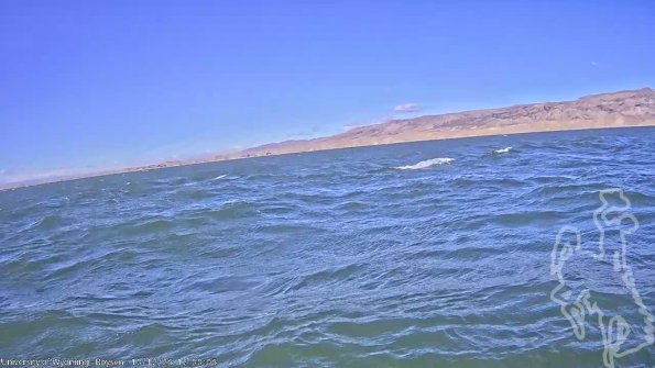 BoysenOct122025_14hh08mm01ss