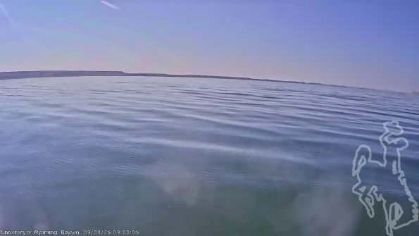 BoysenSep012025_11hh08mm01ss