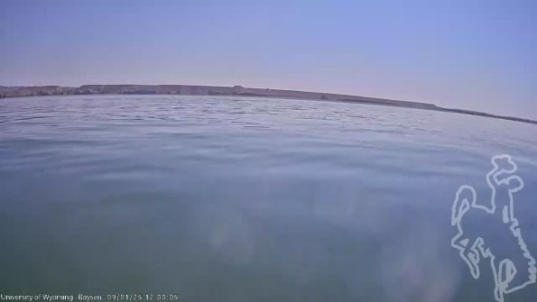 BoysenSep012025_14hh08mm01ss