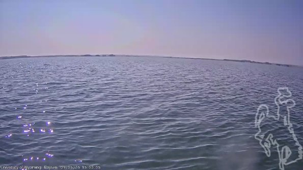 BoysenSep052025_17hh08mm02ss