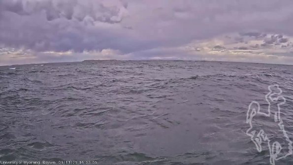 BoysenSep112025_18hh08mm01ss