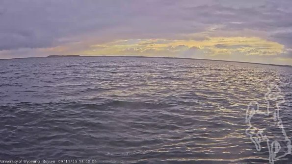 BoysenSep112025_20hh08mm01ss