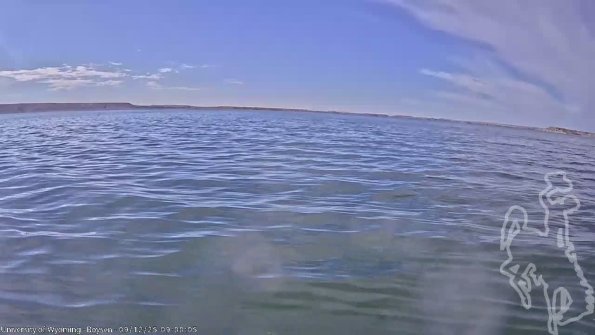 BoysenSep122025_11hh08mm00ss