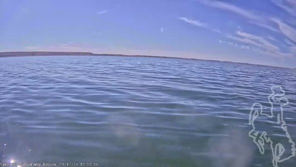 BoysenSep122025_12hh08mm01ss